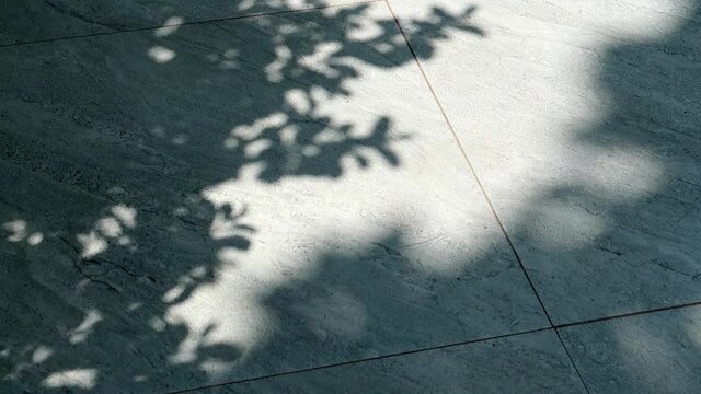 Abstract nature slow motion of Close up silhouette natural leaves shadow on grange pavement cement floor or wall background in tropical summer sunlight & sun rays at daylight sunny & sunshine day