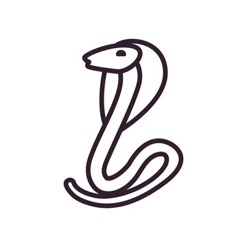 Indian kobra snake line style icon vector design