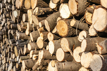 Stack of sawn logs. Natural wooden decor background.