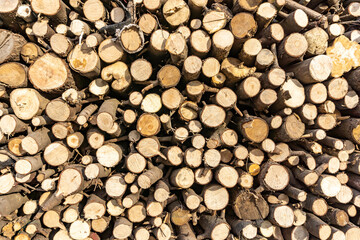 Stack of sawn logs. Natural wooden decor background.