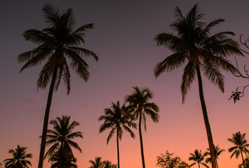 Fototapeta na wymiar Sunset on the beach in Khao lak , Phang - Nga Province Soutern of Thailand