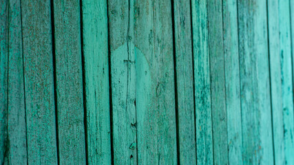 Fototapeta na wymiar Background of green flaky wood. Backdrop of green colored wooden panels with aged flaky surface