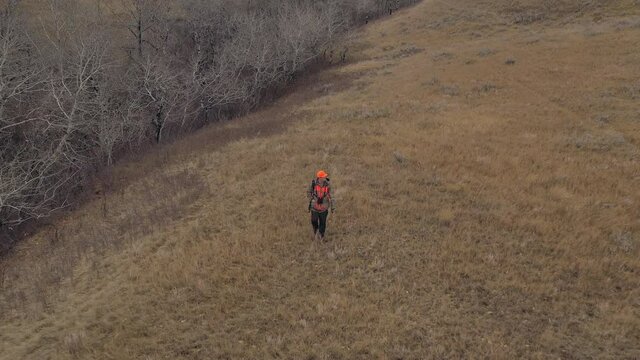 Lonesome Adult Male Hunter hiking on edge of forest in rugged and remote wilderness - pull back wide aerial shot.