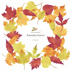 紅葉の手描きイラスト/背景フレーム
