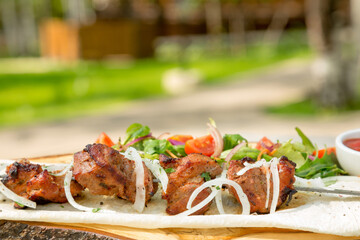 Shish kebab on a background of solar alley
