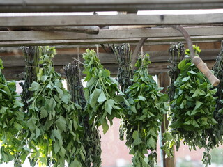 Saving summer.Medicinal herbal background.Bunches of mint and Melissa plants are dried under a...