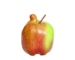 freshly picked apple with malformation growth. Food shops mostly prefer the best quality fruit and vegetables, or slightly lower-quality goods sold for a bit less. Ugly fruit is not in high demand.