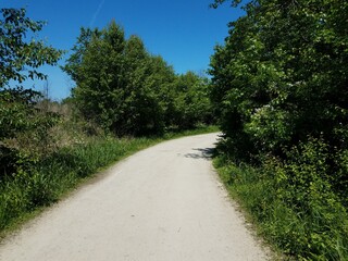 Fototapeta na wymiar trail or path with green trees and plants