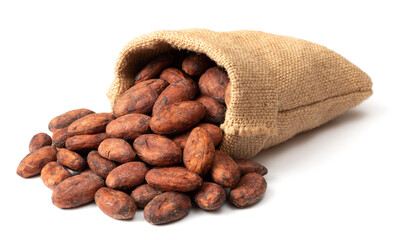 dried cocoa beans in the sack, isolated on white background