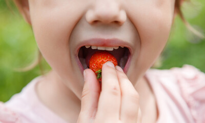 Cute happy girl eating strawberry, outdoor in garden