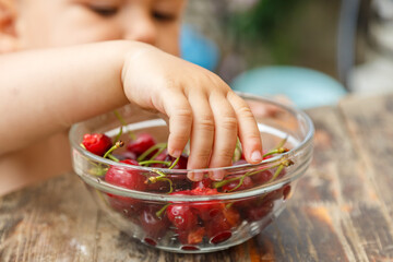 Cute happy boy taking sweet cherry from the plate, outdoor in garden