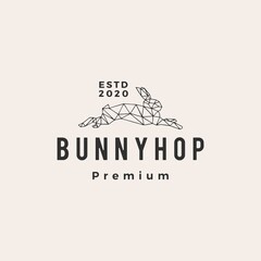 geometric rabbit bunny hop hipster vintage logo vector icon illustration