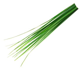 fresh lemongrass leaves isolated on white background, top view
