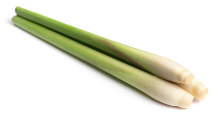 fresh lemongrass stems isolated on white background