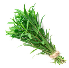 Fototapeta premium fresh sweet marigold twigs isolated on white background, top view