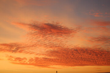 the promised heavens
