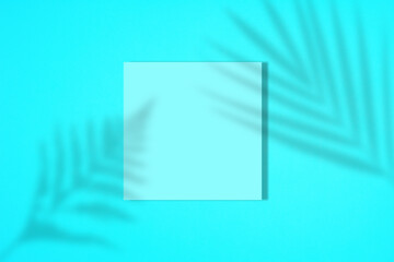 Top view of green tropical leaf shadow on blue color background. Minimal concept art. Creative copyspace with paper frame.