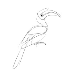 Hornbill bird illustration. Logo, icon design. Line art style. © Kas Tan