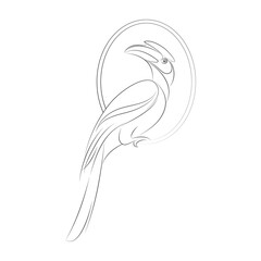 Hornbill bird illustration. Logo, icon design. Line art style.