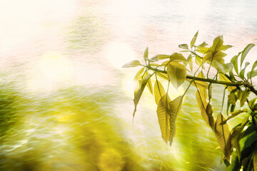 Green leaves blurred background with beautiful bokeh