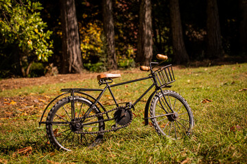 Fototapeta premium Bici