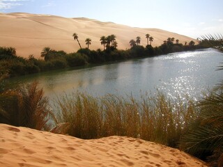 Libya. Desert landscape with sand dunes around the town of Sebha.
