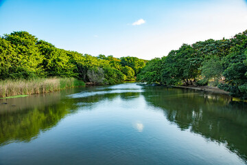 lake in the forest with blue cloudy sky in the background.