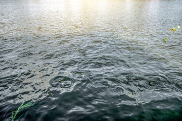 The water in the canal has mild sunshine.