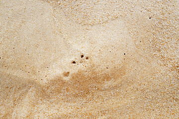 close up macro wet beach sand for texture background