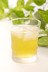 冷えた緑茶
