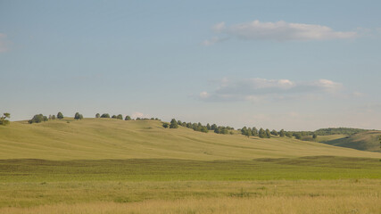 Field of clover in the hills under the summer cloudless sky