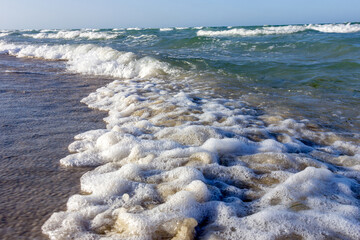 Surf after low tide in the Mediterranean Sea. Algae and waves.