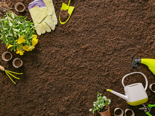 Supplies for gardening with plants on soil background