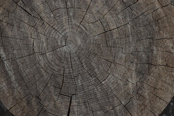 Fototapeta premium old wood texture