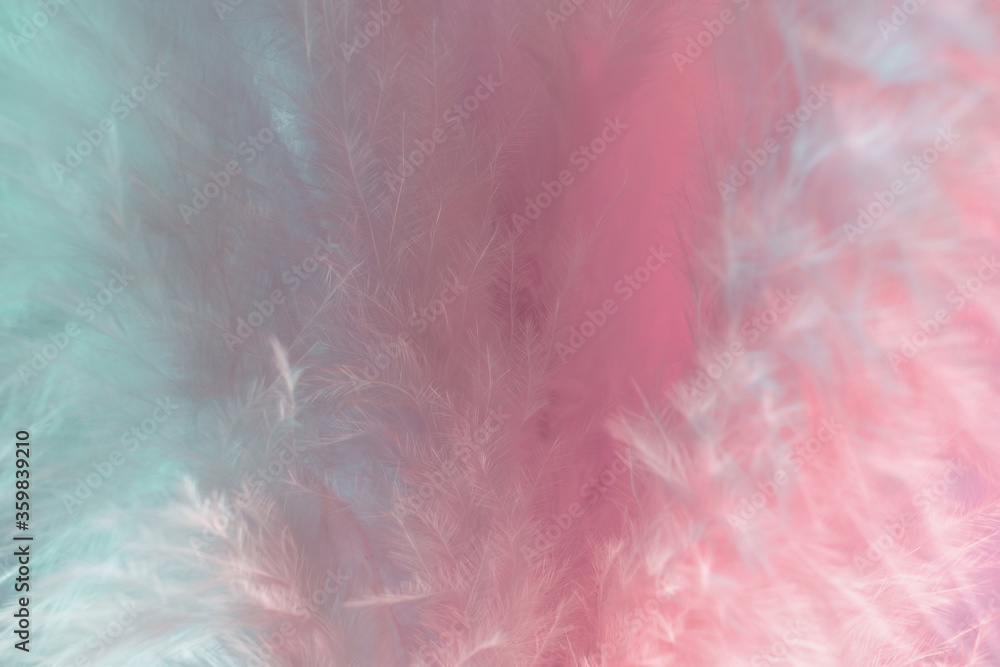 Poster Exotic texture feathers background close up. Soft feathers pattern for your design. Macro photography view.