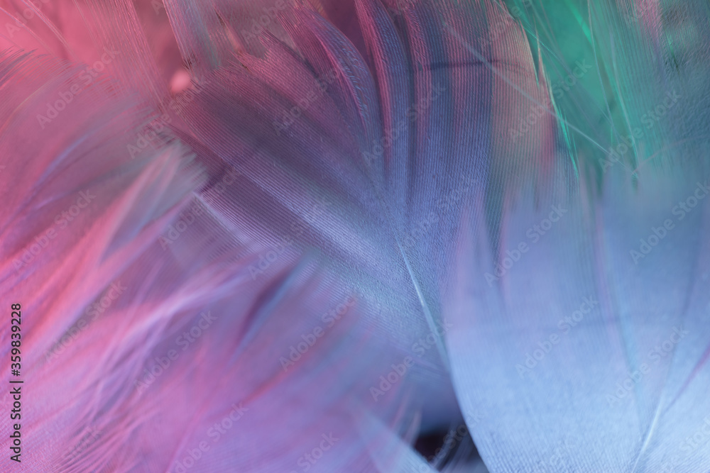 Poster exotic texture feathers background close up. gray, blue feathers pattern for your design. macro phot