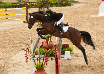 horse and rider jumping on a track in a tournament 