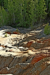 stream in the forest