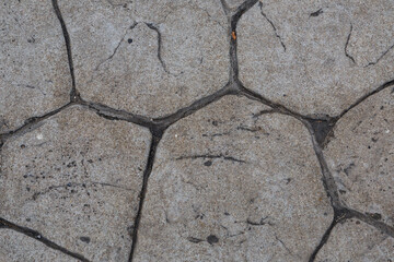 gray stone cracked background base with curved lines urban pattern