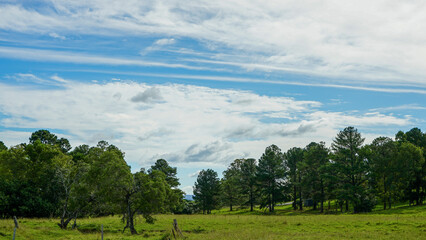 Country scene with green grass, trees, beautiful clouds and blue sky.