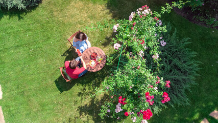 Young couple enjoying food and wine in beautiful roses garden on romantic date, aerial top view from above of man and woman eating and drinking together outdoors in park
