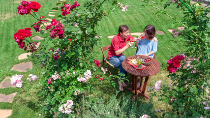 Young couple enjoying food and wine in beautiful roses garden on romantic date, aerial top view from above of man and woman eating and drinking together outdoors in park
