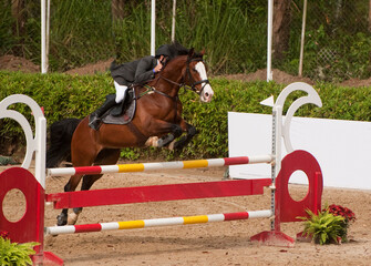 horse and rider jumping on a track in a tournament 