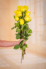 Women hand holding a bouquet of peach Stardust roses variety, studio shot. Yellow flowers