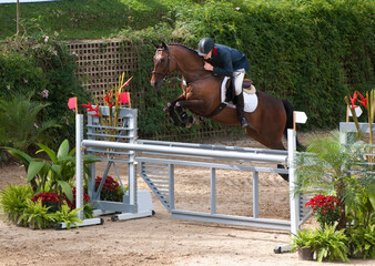 horse and rider jumping on a track in a tournament 
