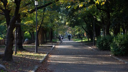 Parks in Osaka with autumn foliage