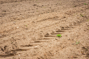 Ploughed field in spring prepared for sowing.