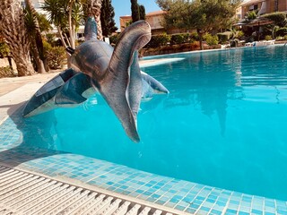 Shark toy inflatable in the swimming pool