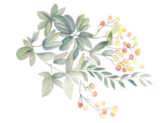 Flowers watercolor illustration.Manual composition.Big Set watercolor elements.