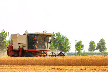 combine harvester working on a wheat field